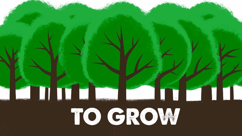 P1_2013_SeedsOfHope_Grow