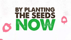 Seeds of Hope - Plant Seeds Now