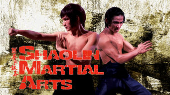 icon_shaolinMartialArts